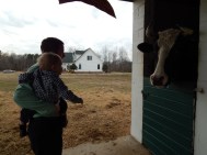 Landon and Mickey Moo